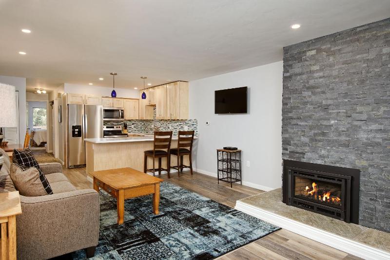 Modern Aspen Condo Private Deck with Koch Park Views - 2E - image 29