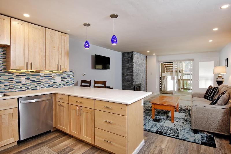 Modern Aspen Condo Private Deck with Koch Park Views - 2E - image 19