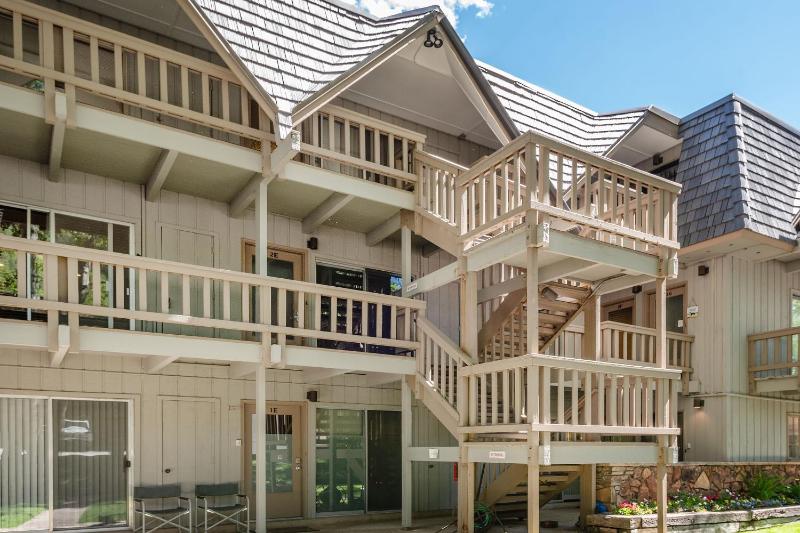 Modern Aspen Condo Private Deck with Koch Park Views - 2E - image 25