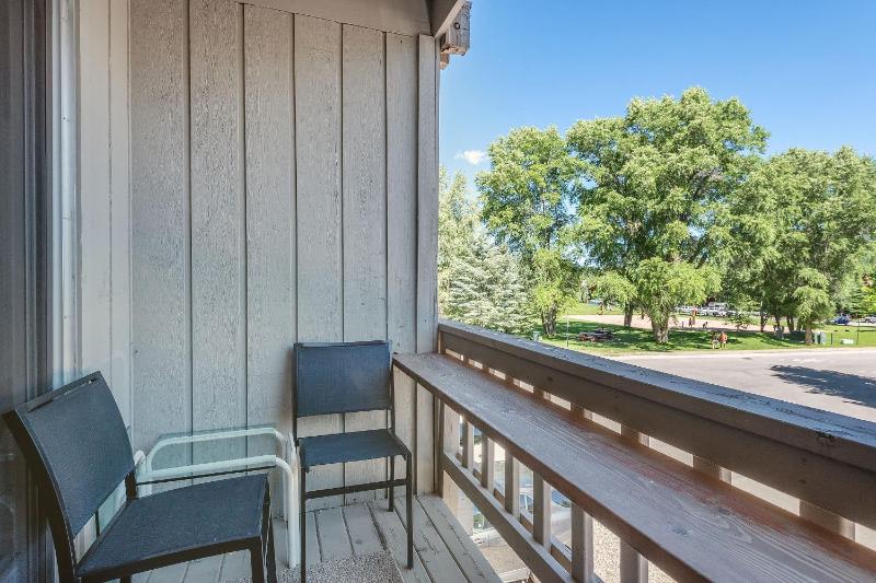 Modern Aspen Condo Private Deck with Koch Park Views - 2E - image 30