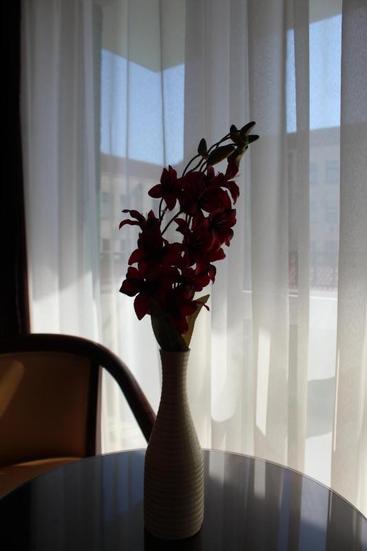 Double Room image 4