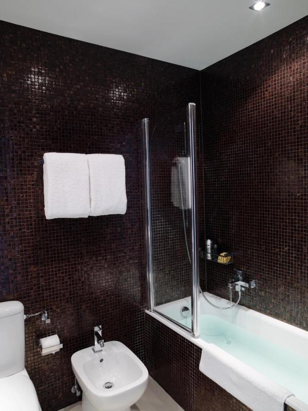 Studio Apartment image 4