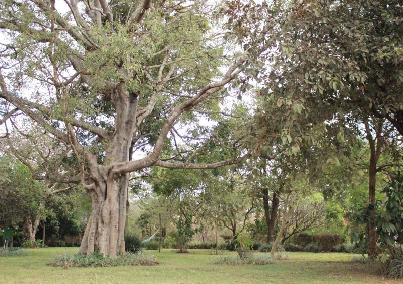 Barefoot Lodge and Safaris - Malawi - image 13