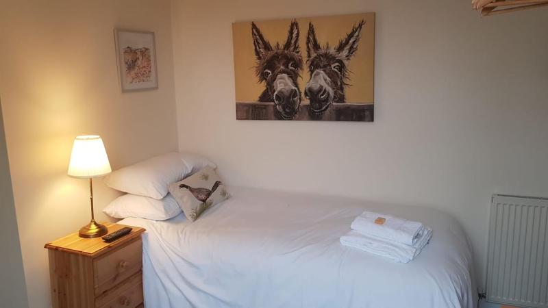 Single Room image 3