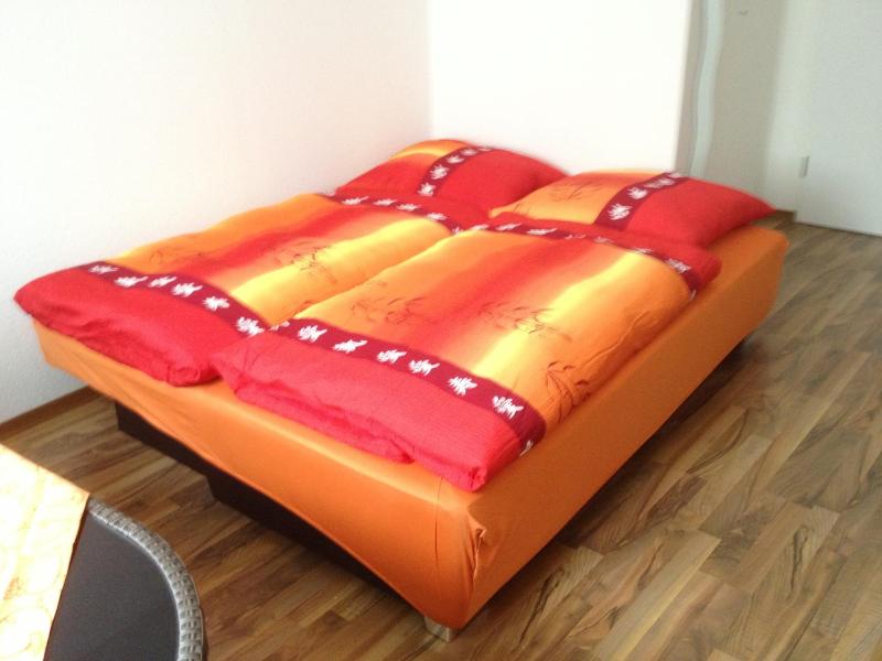 Studio Apartment image 4