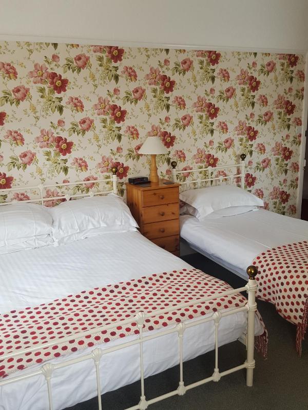 Standard Family Room image 2