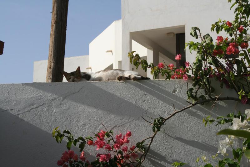 Auberge Keur Diame - image 16