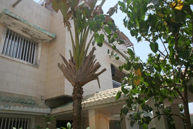 Auberge Keur Diame - image 7