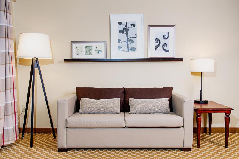 One-Bedroom King Suite image 4