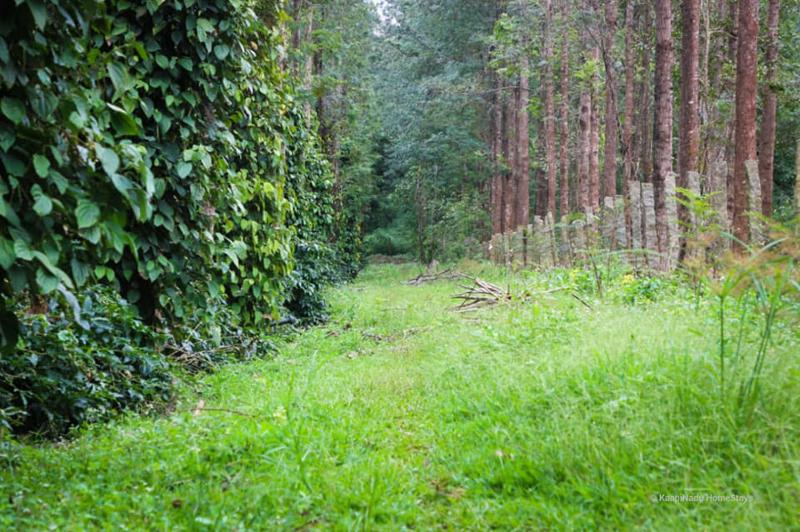 Butter Clouds HomeStay - image 13
