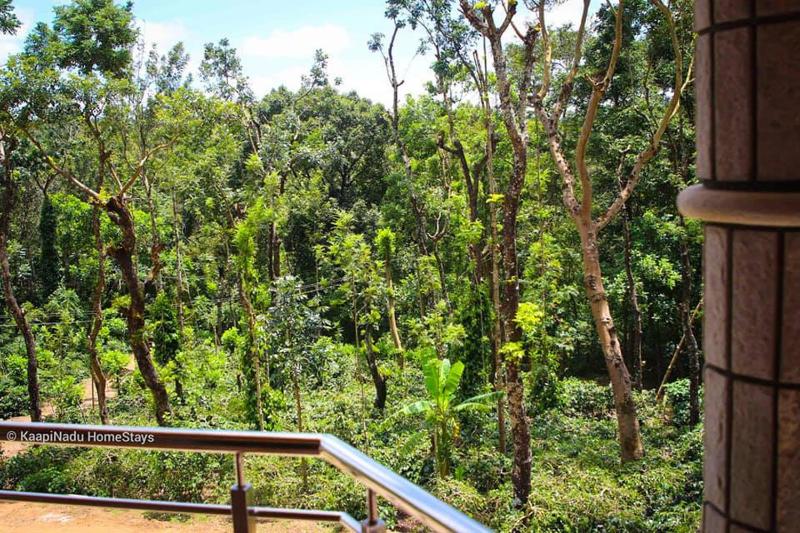 Butter Clouds HomeStay - image 36