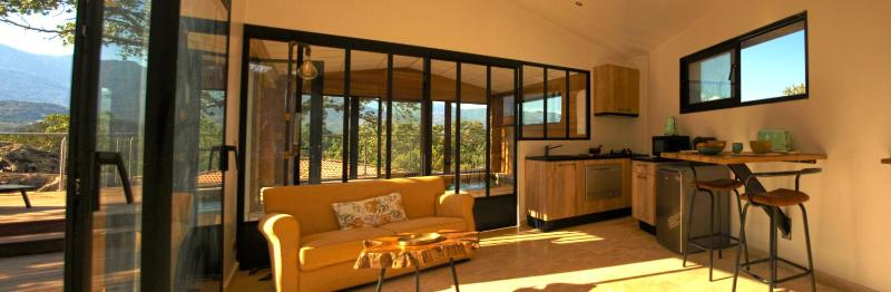 Suite with Private Pool image 3