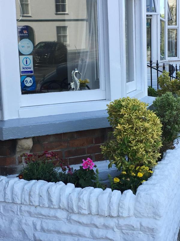 Southville Guest House - image 15