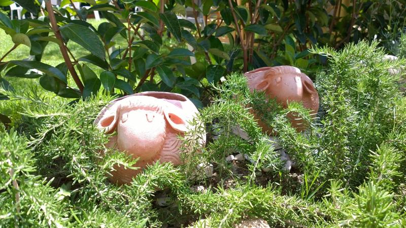 Le Pecore di Terracotta Images