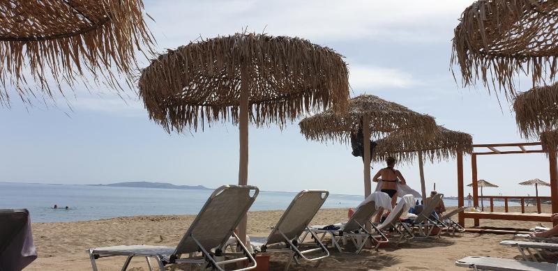 Apartment - Ground Floor image 3