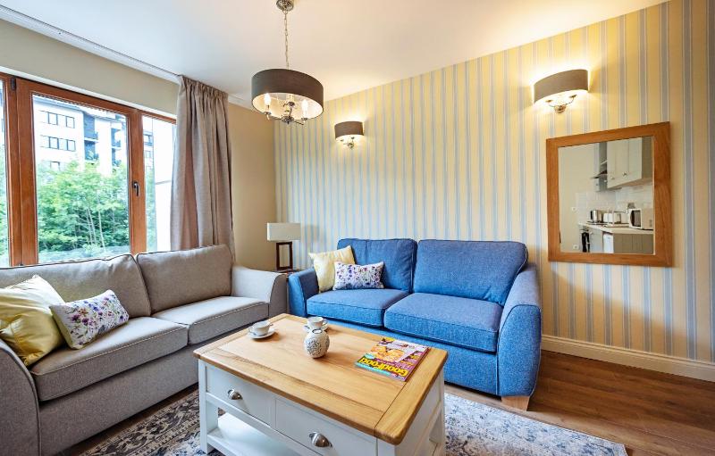 One-Bedroom Apartment image 4