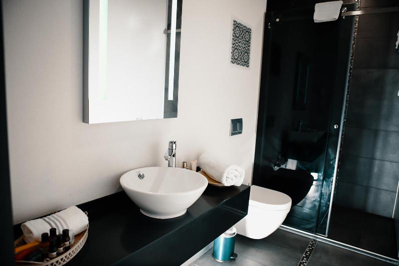 Deluxe Double or Twin Room image 4