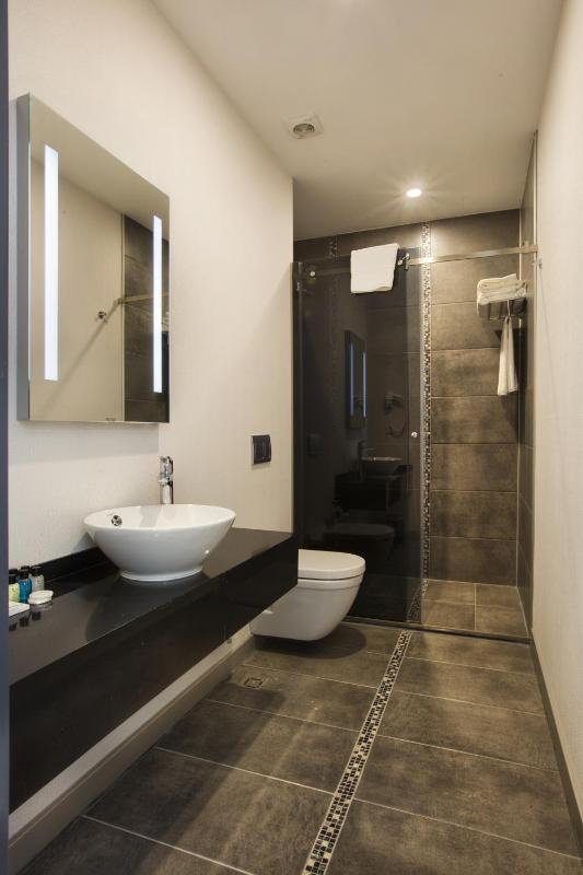 Deluxe Double or Twin Room image 3