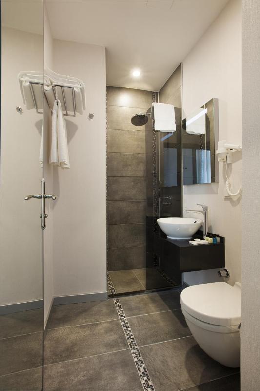 Deluxe Double or Twin Room image 2