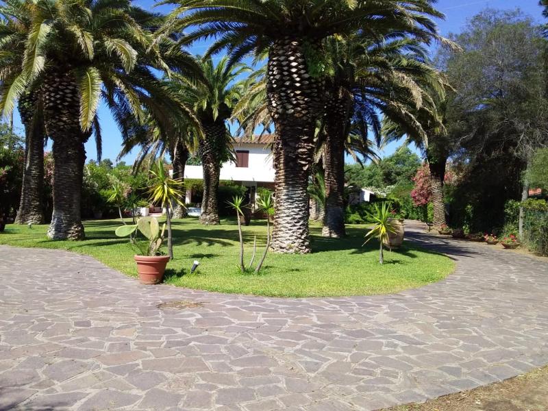 Le Palme - image 7