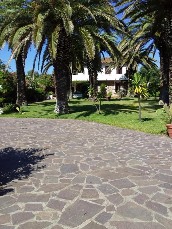 Le Palme - image 2