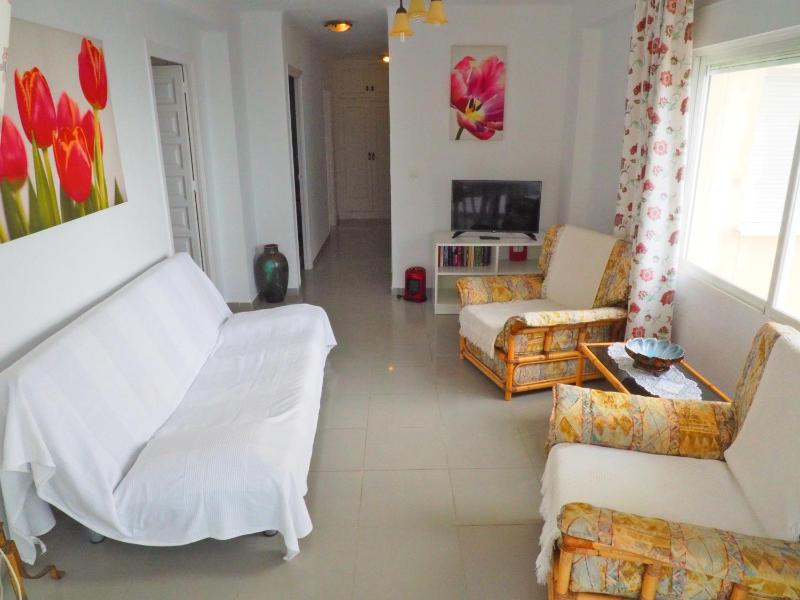 Apartamentos Intercentro Algarrobo-Costa APARTAMENTOS TURÍSTICOS -INMOBILIARIA - image 30