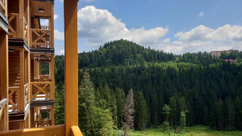 Apartment with Partial Mountain View (B230) image 1
