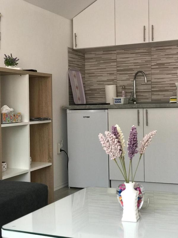 Apartment with Balcony image 4