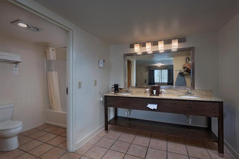 Deluxe King Suite image 2