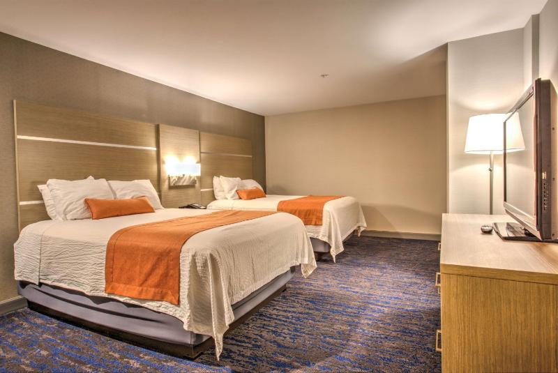 Suite - 1 King 2 Queen image 2