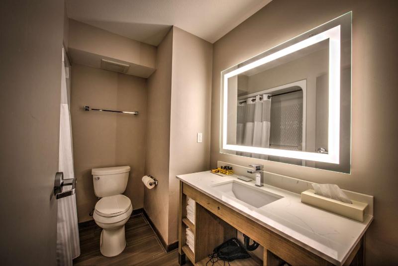 Suite-1 King 1 Queen image 2