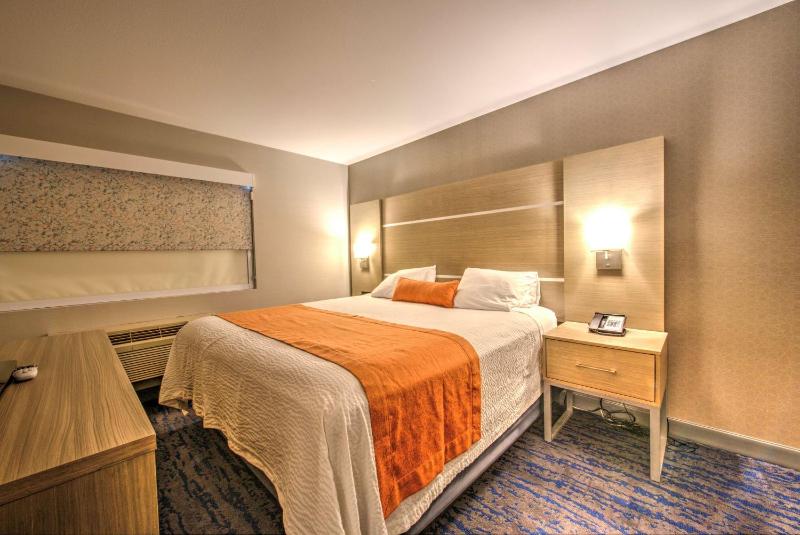 Suite - 1 King 2 Queen image 1