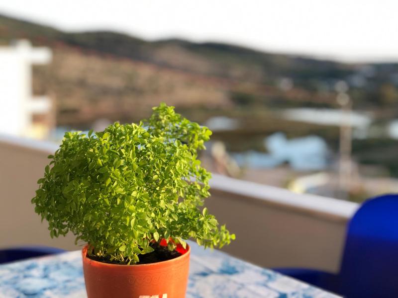 Green Garden Villa - image 15
