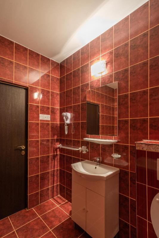 One-Bedroom Apartment image 4
