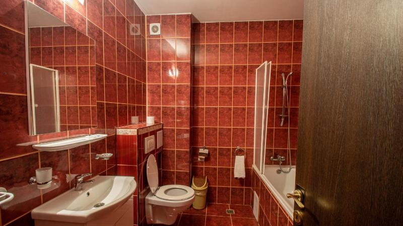 One-Bedroom Apartment image 3