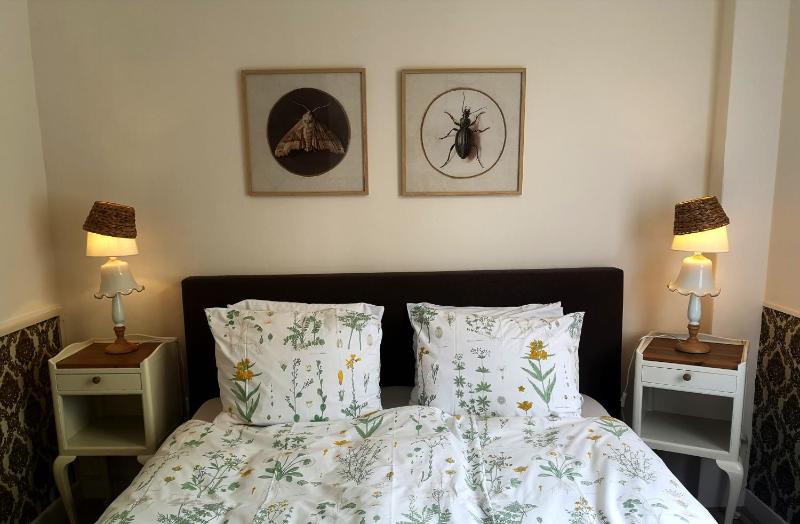 Standard Double Room image 4