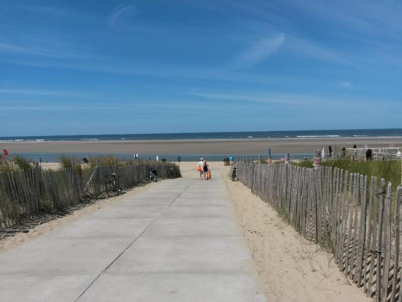 Kijkduinvilla - image 13