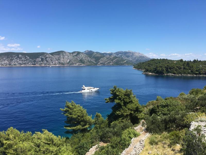 THE VIEW **** - image 20
