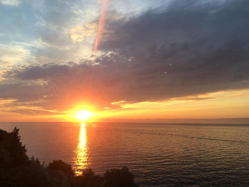 THE VIEW **** - image 50
