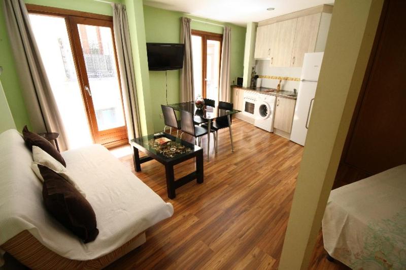 One-Bedroom Apartment image 3