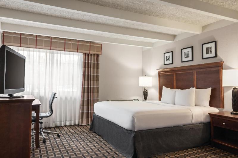 King Room image 2