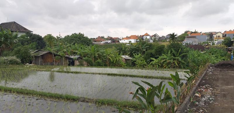 PD Bali Guesthouse - image 9