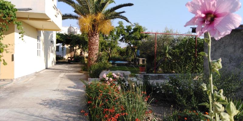Garden - image 10