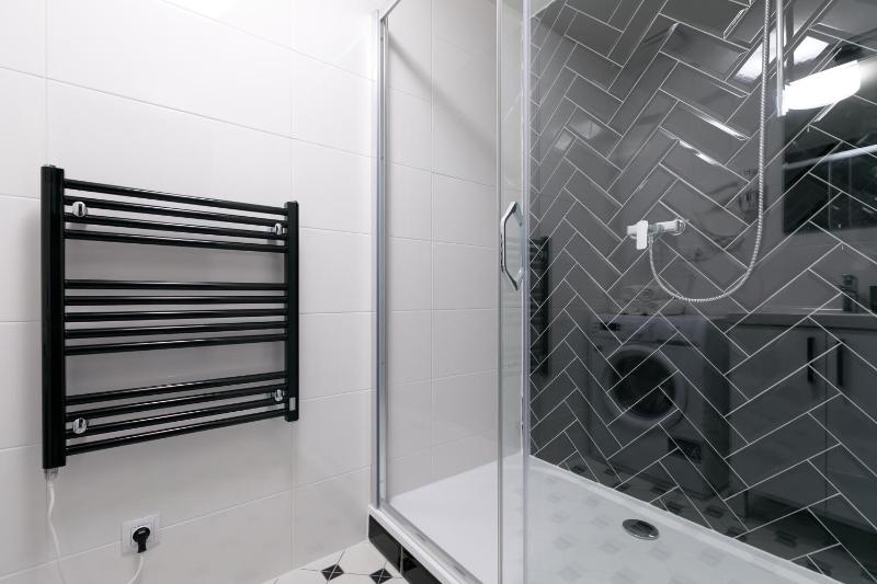One-Bedroom Apartment image 3
