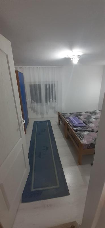 Alegrija 2 - image 8