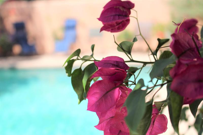 Adobe Rose Inn - image 5