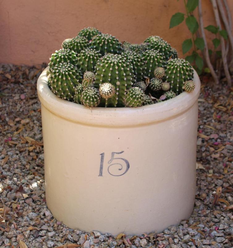 Adobe Rose Inn - image 14