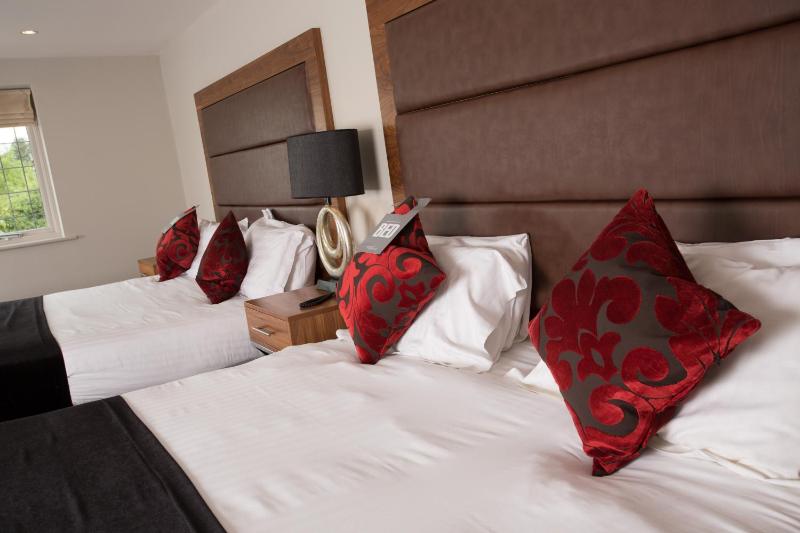 Executive Twin Room image 3