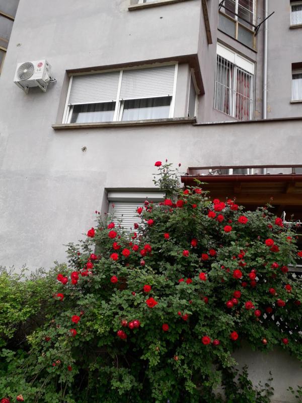 Two-Bedroom Apartment image 3