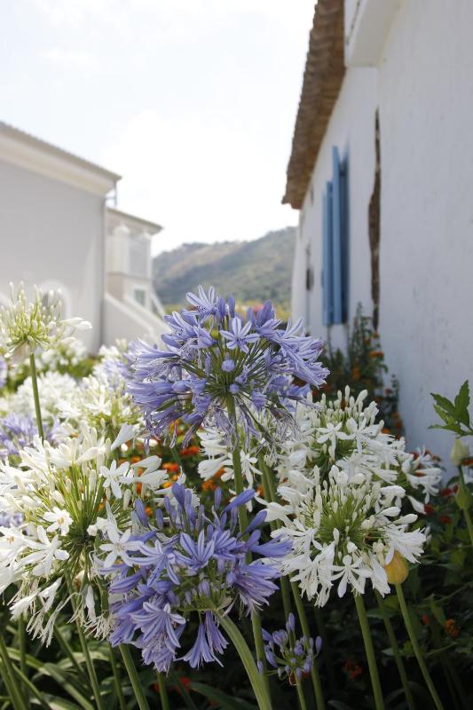 Il Borghetto Resort & Spa - image 26